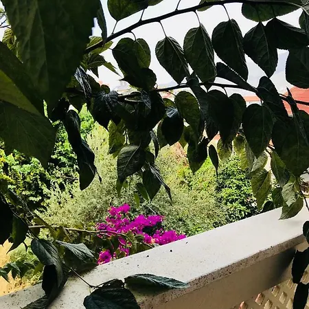 Kalede Deniz Doga Manzarali Daire * Алания